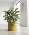 A vibrant yellow planter pot with a textured, ribbed design, showcasing a lush green plant with variegated leaves.