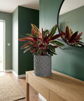 A gray planter pot with a geometric design sits on a wooden table in a stylish hallway. The pot contains a vibrant plant with red and green leaves.