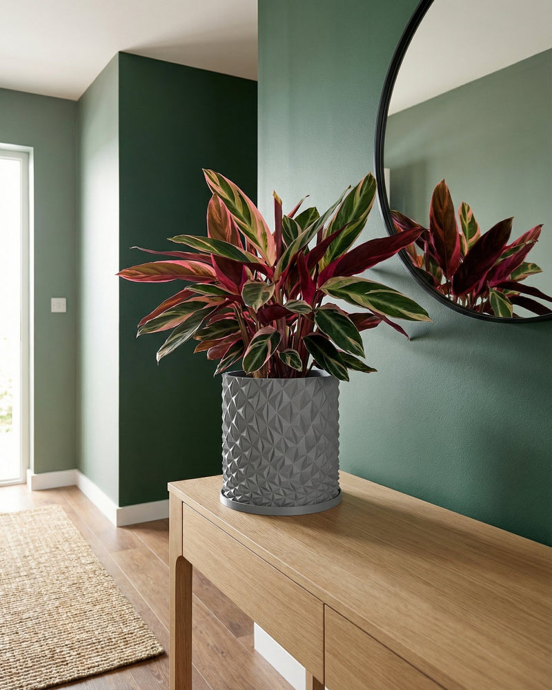 A gray planter pot with a geometric design sits on a wooden table in a stylish hallway. The pot contains a vibrant plant with red and green leaves.