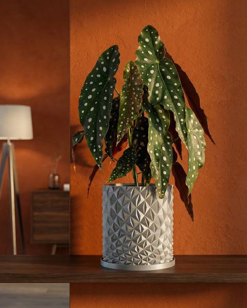 A begonia plant in a gray geometric planter pot sits on a wooden shelf against an orange wall.