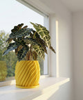 A yellow planter pot with a plant on a white windowsill. The pot has a spiral design and the plant has large, green leaves.