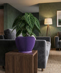 A purple planter pot with a green plant sits on a wooden table in a living room setting.