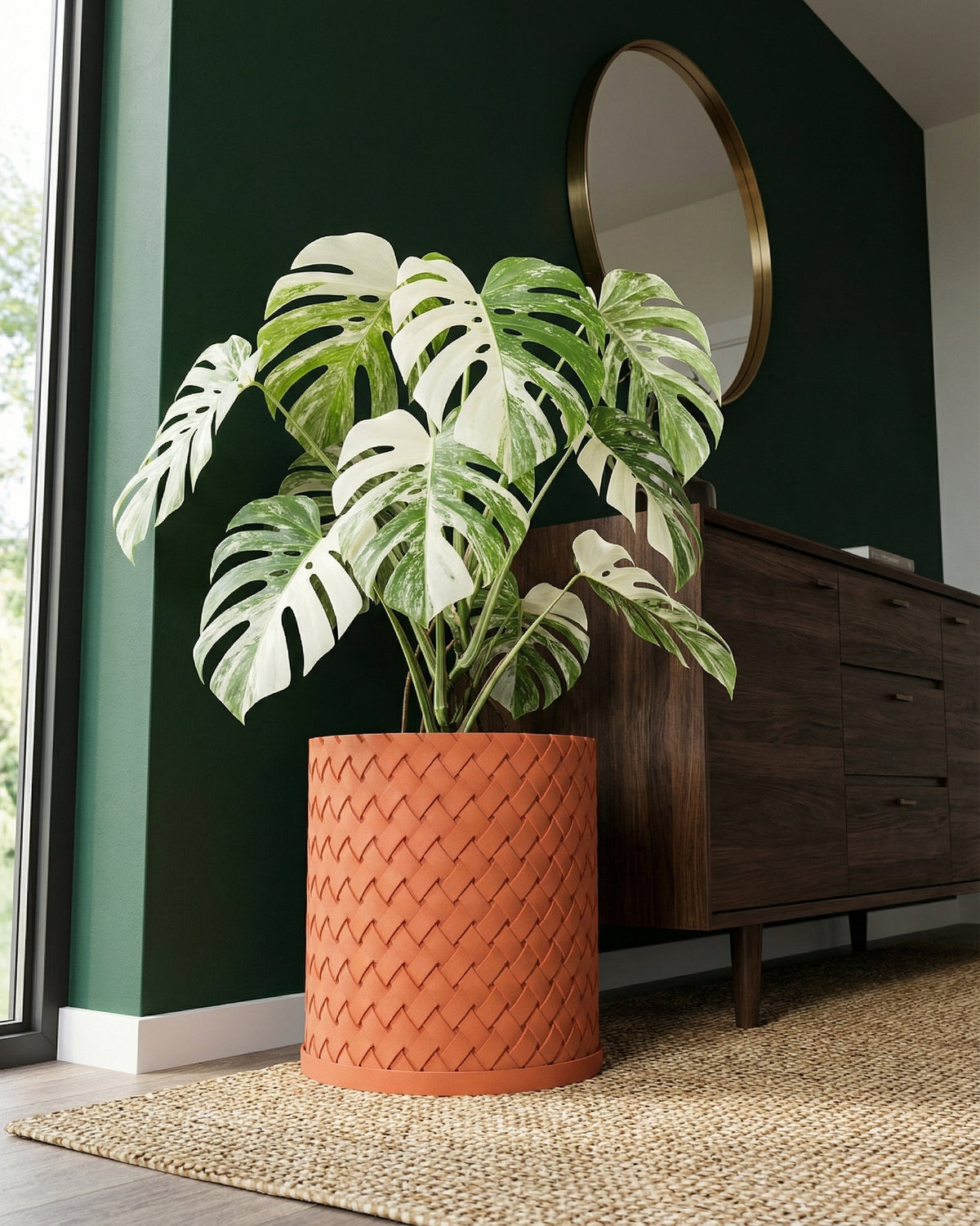 A variegated Monstera plant in a woven terracotta planter pot sits on a jute rug in a modern living room.