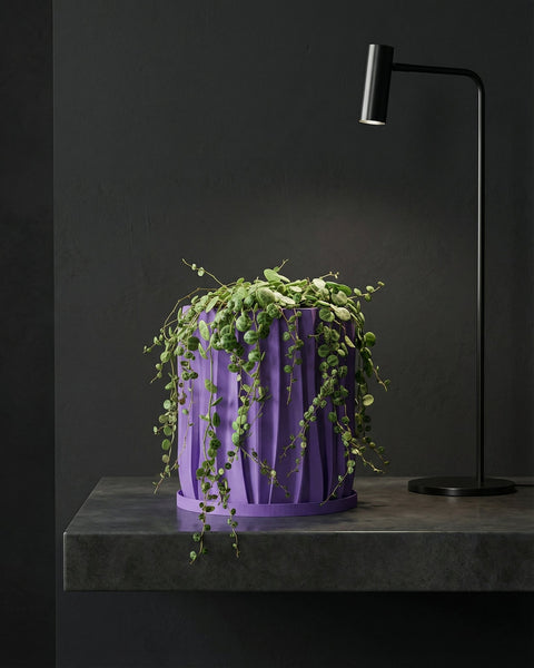 A purple planter pot with a green plant inside sitting on a window sill.
