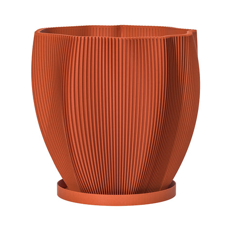 Terracotta Orange Coconut