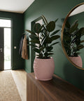 A pink planter pot with a rubber plant sits on a wooden cabinet in a green entryway with a round mirror on the wall.