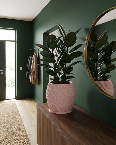 A pink planter pot with a rubber plant sits on a wooden cabinet in a green entryway with a round mirror on the wall.