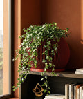 A red, round, slatted planter pot filled with a lush green ivy plant sits on a dark wood shelf next to books and a gold sculpture.