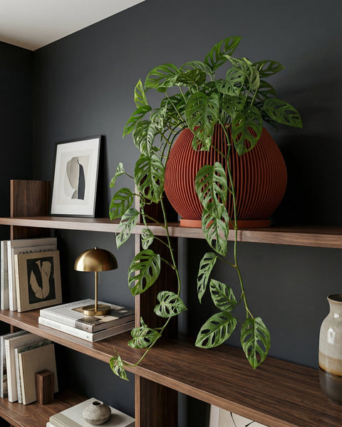 A close-up shot showcases a vibrant green plant nestled in a terracotta-colored planter pot. The pot features a unique vertical ribbed design, adding texture and visual interest. The plant and pot are placed on a wooden surface, with a large window providing natural light in the background. A minimalist shelf with decorative objects is visible in the corner, complementing the modern interior design.