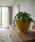 A close-up shot showcases a vibrant yellow planter pot with a unique ribbed texture, holding a lush green Pilea peperomioides, commonly known as the Chinese money plant. The pot sits atop a sleek, wooden dresser, with a modern art piece and decorative object subtly placed in the background. The scene is bathed in soft, natural light, highlighting the plant's glossy leaves and the pot's distinctive design.