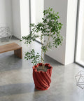 A red planter pot with a textured surface sits on a gray floor, holding a small tree with green leaves. A wooden cabinet is nearby.