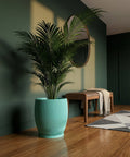 A vibrant green palm in a wavy, textured planter pot sits on a shiny wood floor in a room with green walls.