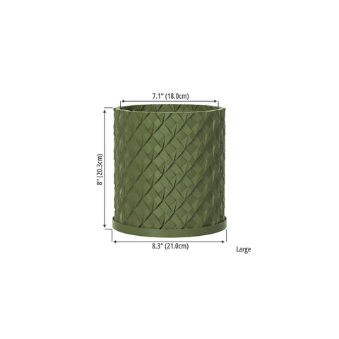 Avocado Green Chisel