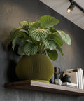 A tall rubber plant in a fluted yellow planter pot sits on a dark gray platform in a modern, minimalist room. The plant's glossy green and bronze leaves reach towards the ceiling. A black marble console table and framed artwork are visible in the background.