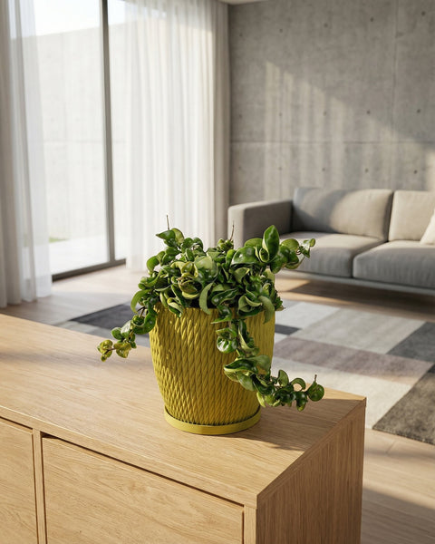 A green plant in a yellow planter pot sits on a wooden cabinet in a modern living room.