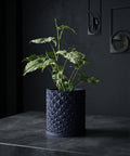 A dark blue planter pot with a geometric design sits on a dark gray table. A plant with green and white leaves is in the pot.