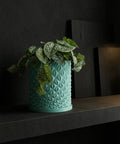 A teal geometric planter pot with a green plant sits on a dark shelf against a dark wall.