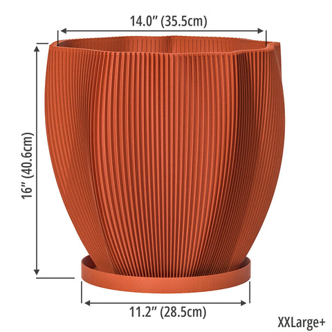 Terracotta Orange Coconut