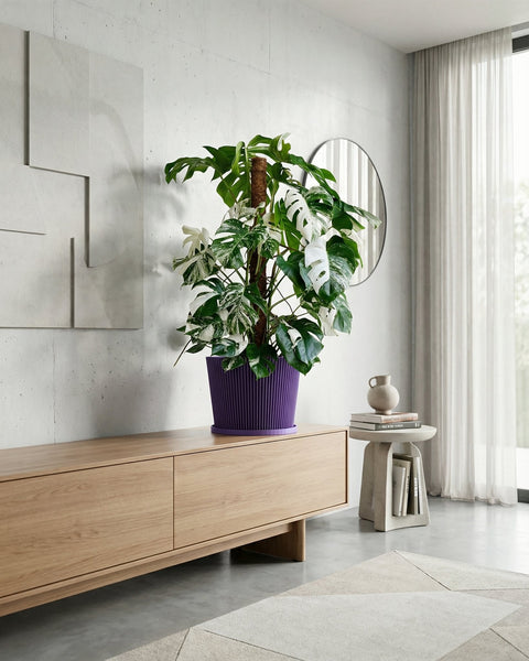 A purple planter pot with a green plant sits on a marble table next to a gray couch with a blanket.