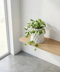 A white planter pot with a green and white plant sits on a light wood shelf in a bright, modern room.
