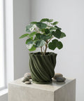 A green planter pot with a plant next to a gray chair in a room with green walls.