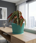 A ZZ plant in a light blue diamond-patterned planter sits on a wooden table in a blue room with a round mirror.