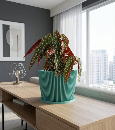 A ZZ plant in a light blue diamond-patterned planter sits on a wooden table in a blue room with a round mirror.