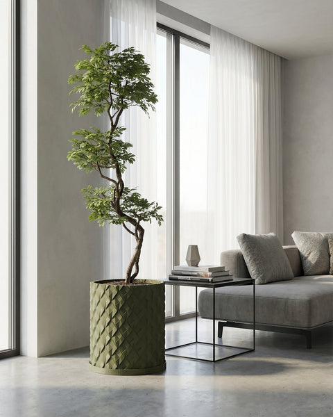 A rubber plant in a green, textured planter pot sits on a dark wood floor against a deep red wall. The pot has a woven design.