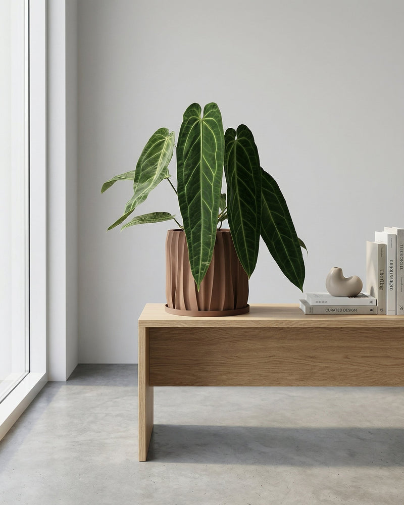 A variegated plant in a brown textured planter pot sits on a wooden cabinet against a mustard-colored wall.