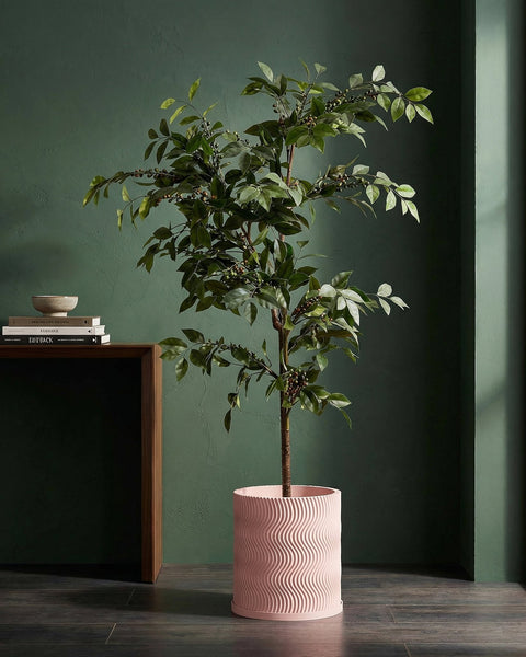 A pink planter pot with a wavy design holds a small tree with green leaves and berries, set against a dark green wall.