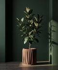 A brown planter pot with a green plant sits on a wooden bench in a room with dark green walls.