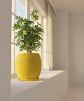 A bright yellow planter pot with a green plant sits on a white windowsill next to a window with sheer white curtains.