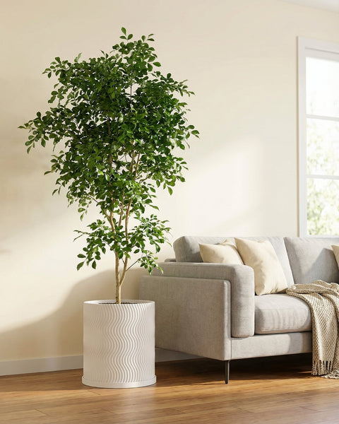 A white planter pot with a wavy design sits next to a gray sofa with beige pillows and a throw blanket. A tall green tree is planted in the pot.