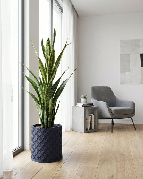 A navy blue planter pot with a textured, rope-like design, holding a lush green tree, sits in a stylish entryway.