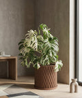 A brown planter pot with a green plant sits on a wooden bench in a room with dark green walls.