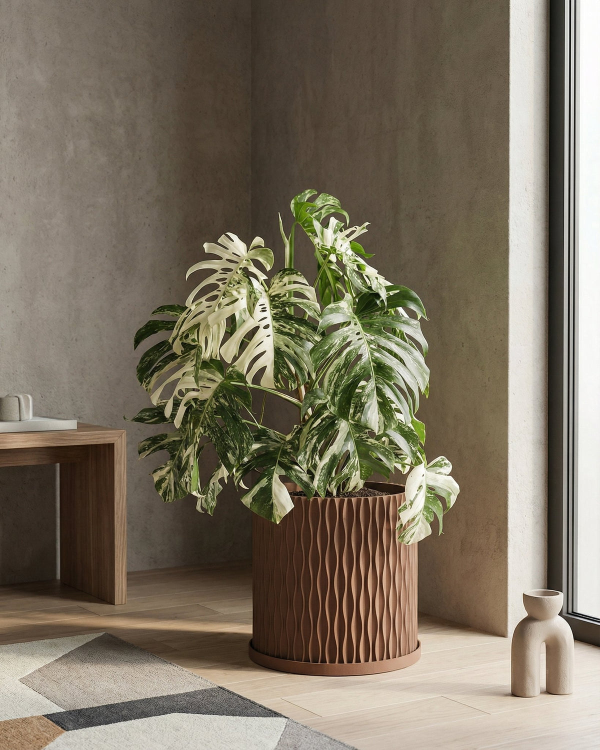 A brown planter pot with a green plant sits on a wooden bench in a room with dark green walls.