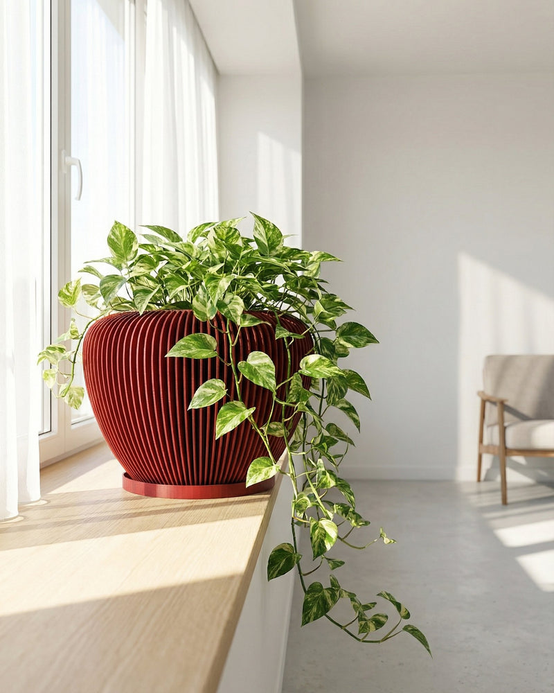 A red planter pot with a green plant sitting on a windowsill. The pot is ribbed and has a round shape.