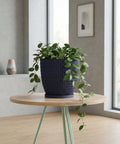 A navy blue planter pot with a green plant on a wooden table with green legs.