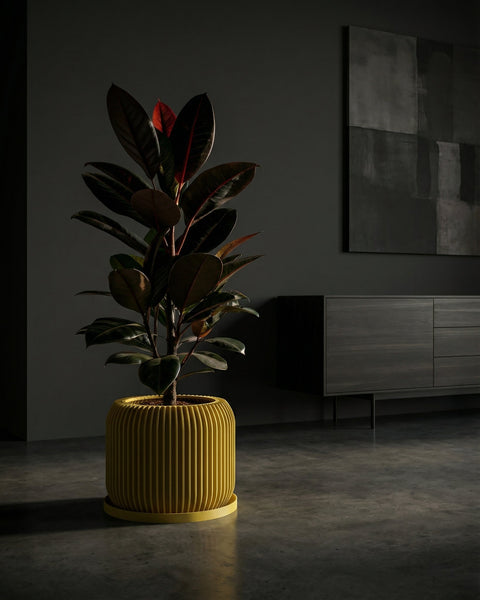 A yellow planter pot with a plant in it sits on a wooden windowsill, illuminated by sunlight.