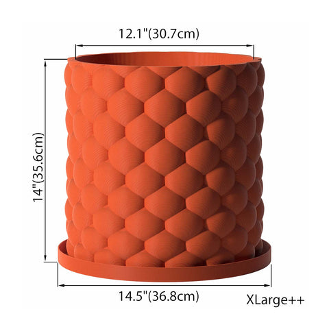 Terracotta Orange Bubble