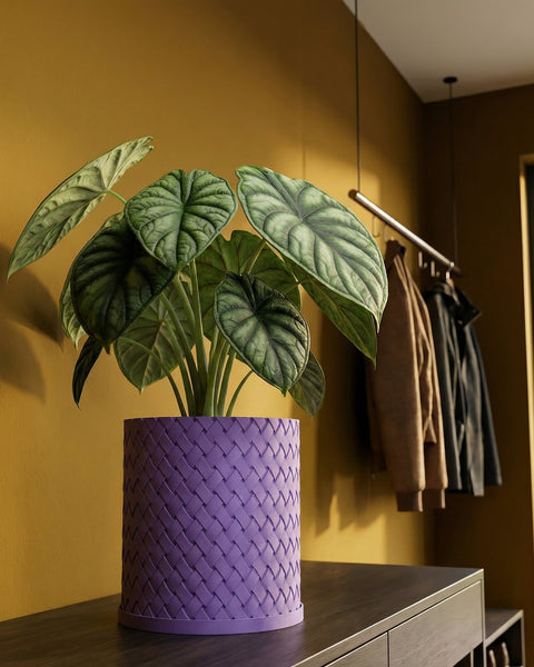 A close-up shot of a plant in a purple woven planter pot, sitting on a dark wooden surface against a mustard-colored wall.