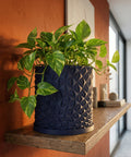 A pothos plant in a navy blue planter with a geometric design sits on a wooden shelf against an orange wall.
