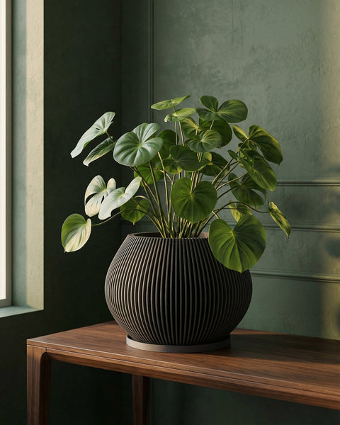 A large green plant in a dark gray planter pot sits on a light wood shelf next to a window with sheer white curtains. A small succulent planter and a stack of books are also on the shelf.