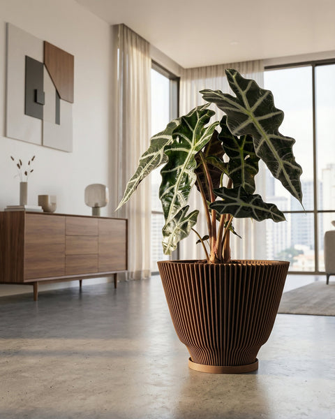 A modern living room features a large Alocasia plant in a unique, vertically-slatted wooden planter pot. The pot is brown and sits on a matching saucer. In the background, a wooden cabinet, a geometric wall art, and large windows with sheer curtains add to the room's contemporary aesthetic.