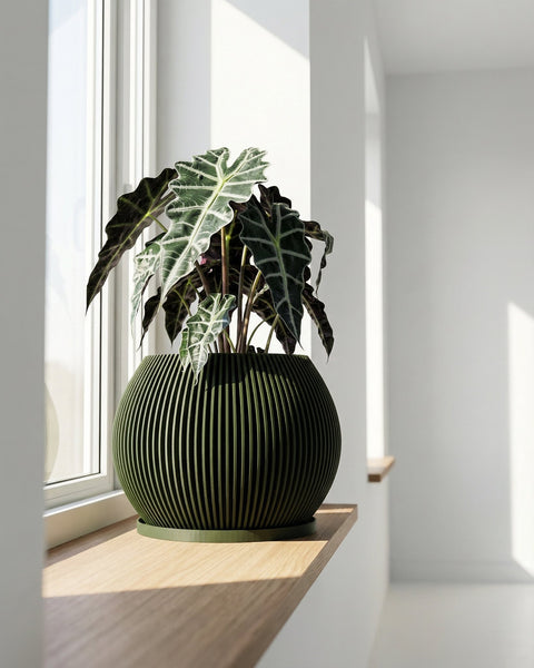 A green planter pot with a plant sits on a wooden shelf in front of a window. The pot has a ribbed design.