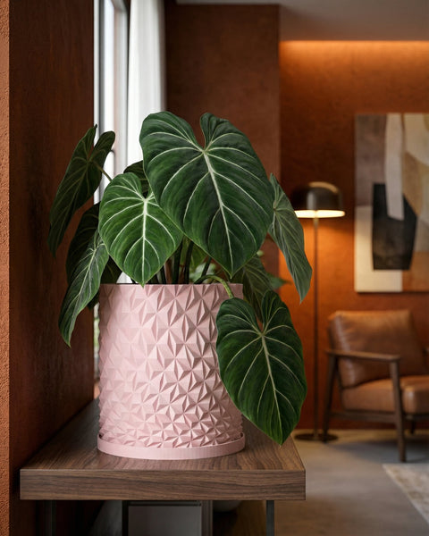 A pink geometric planter pot sits on a wood table, holding a lush green plant with white veins. The pot is the focal point.