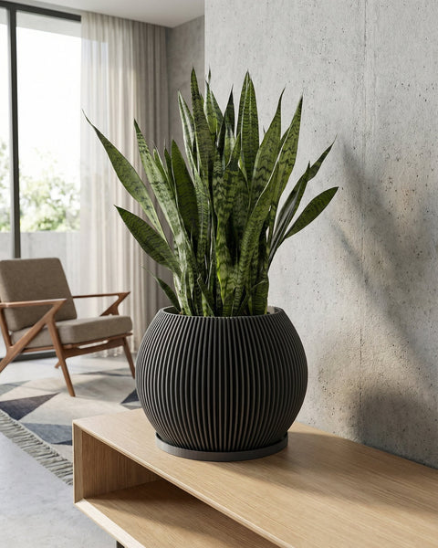 A snake plant in a black, ribbed planter sits on a light wood shelf in a modern room.