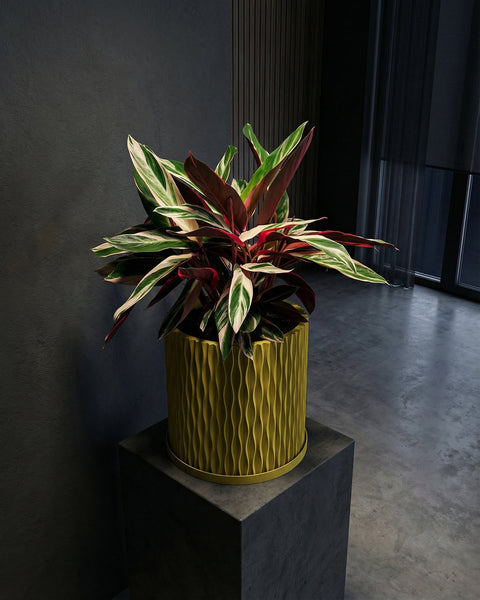 A yellow textured planter pot with a plant next to a gray couch and a round rug in a room with dark green walls.