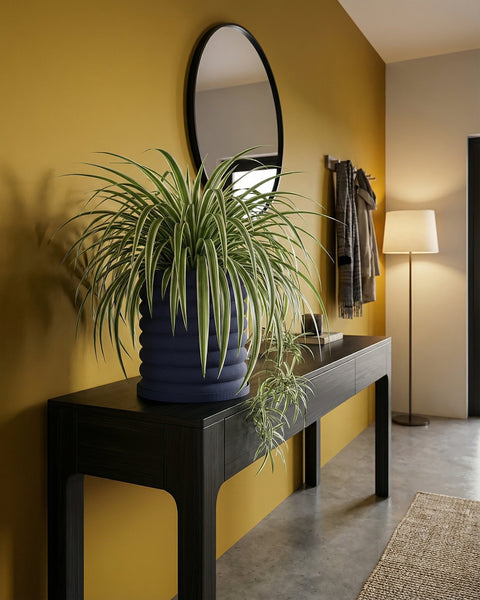 A navy blue planter pot with a spider plant sits on a dark wood console table in a modern entryway with a yellow wall.