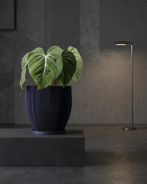 A snake plant in a blue, textured planter pot sits on a wooden windowsill next to a bright window.